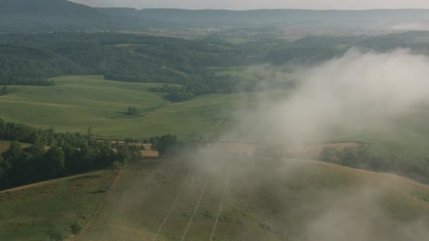 Zielony Krajobraz Wiejski Widok Powietrza Wideo — Wideo stockowe