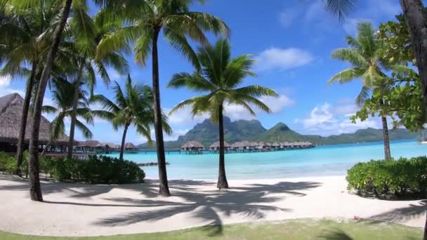 Palmeiras Resort Bora Bora Polinésia Francesa — Vídeo de Stock