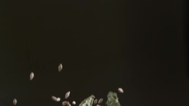 Lúpulo Cevada Câmara Super Lenta Filmado Phantom Flex Câmera Alta — Vídeo de Stock