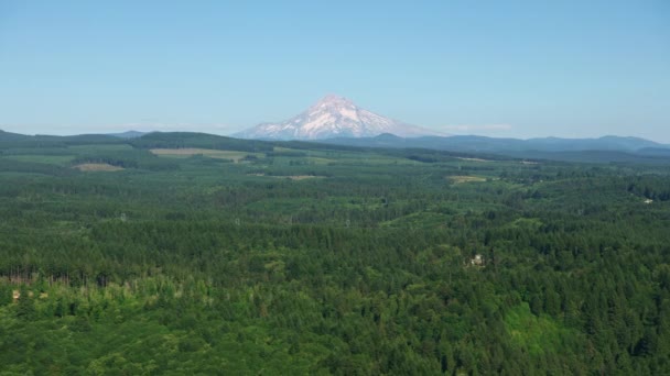 Oregon Circa 2021 Vista Aérea Del Monte Capucha Bosque Tiro — Vídeos de Stock