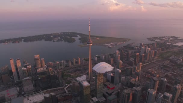 캐나다 토론토 2019 시점에 토론토를 공중에서 바라본다 헬리콥터 지멘스 카메라 — 비디오