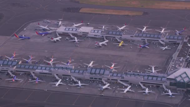 Portland Oregon 2019 Dolaylarında Portland Uluslararası Havaalanı Terminallerinin Hava Görüntüsü — Stok video