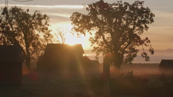 Sunrise Shot Van Willamette Valley Oregon Landbouwgronden Opgenomen Met Cineflex — Stockvideo