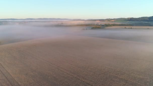 Letecké Video Zemědělské Půdy Oregonu Usa — Stock video