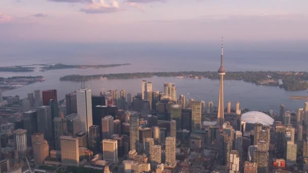 Toronto Kanada Bis 2019 Luftaufnahme Von Toronto Bei Sonnenuntergang Aufnahme — Stockvideo