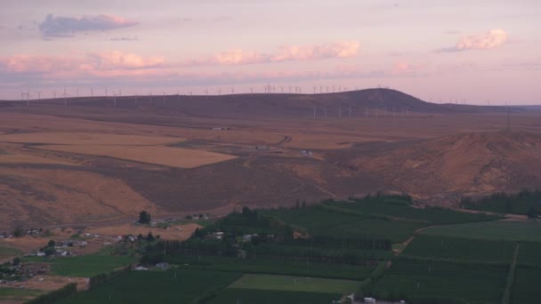 Washington State Circa 2021 Luchtfoto Van Landbouwgronden Buurt Van Columbia — Stockvideo