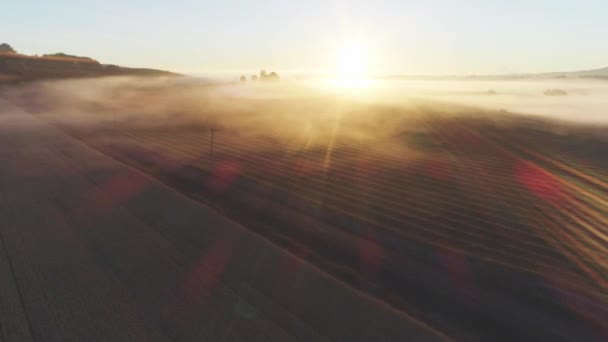 Luchtfoto Van Landbouwgrond Oregon Verenigde Staten — Stockvideo