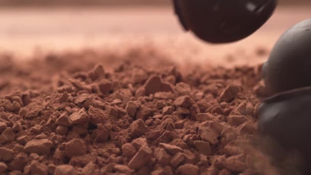 Çikolata Trüf Mantarı Çikolata Tozunun Içine Süper Yavaş Çekimde Düşüyor — Stok video