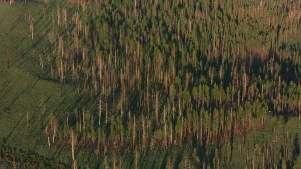 カリフォルニア州ヨセミテ ヨセミテ国立公園の空中ビュー — ストック動画