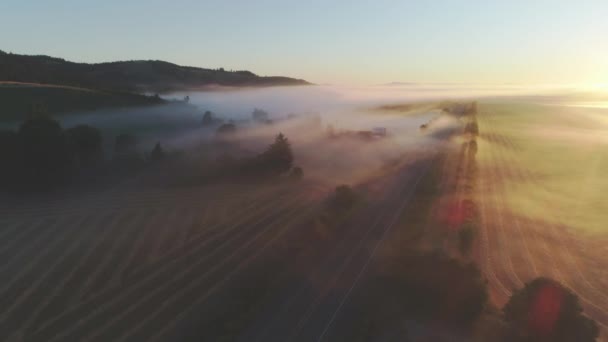 Luftbild Von Ackerland Oregon Usa — Stockvideo