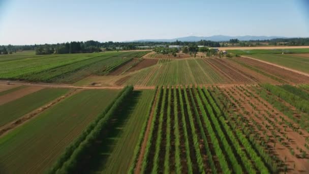 Letecké Video Zemědělské Půdy Oregonu Usa — Stock video