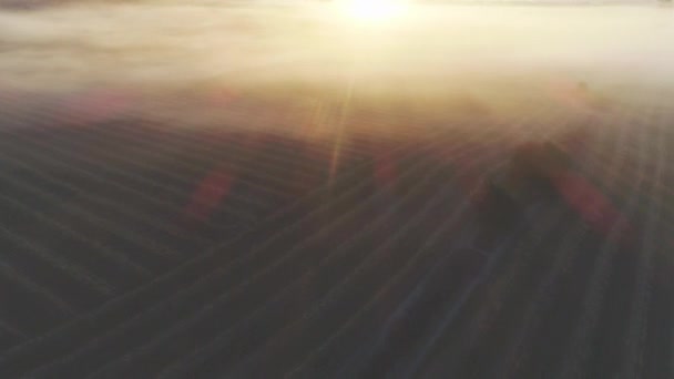 Luchtfoto Van Landbouwgrond Oregon Verenigde Staten — Stockvideo