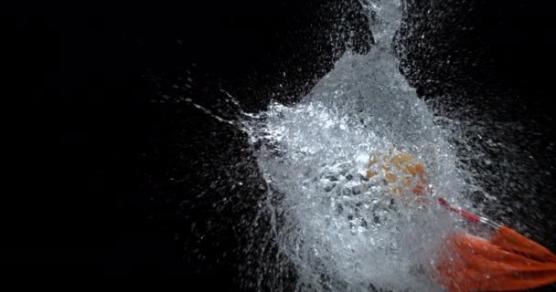 Waterballonnen Stuiteren Super Slow Motion Geschoten Phantom Flex — Stockvideo