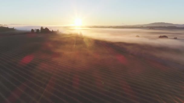 Vídeo Aéreo Terras Agrícolas Oregon Eua — Vídeo de Stock