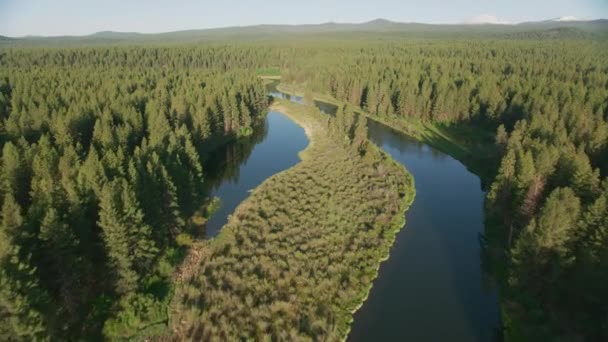 Cascade Mountains 2019 Flygfoto Över Deschutes River Skjuten Från Helikopter — Stockvideo