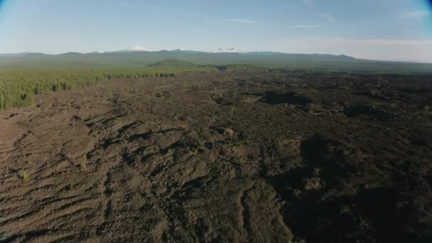 Central Oregon 2019 Luftaufnahme Des Lavaflusses Aufnahme Aus Dem Hubschrauber — Stockvideo