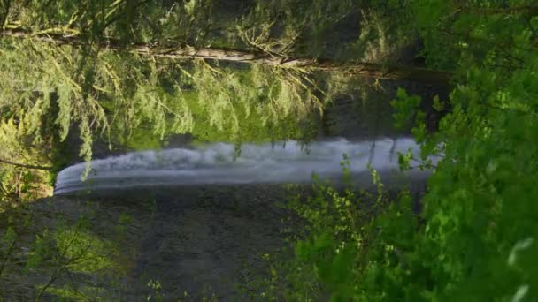 毛伊岛海岸线瀑布的空中景观 — 图库视频影像