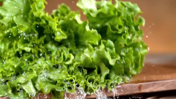Wasser Fließt Zeitlupe Aus Frischem Salat Aufnahme Mit Phantom Flex — Stockvideo