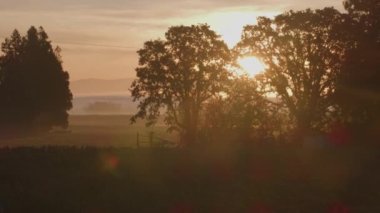 Willamette Vadisi, Oregon tarım arazilerinin gün doğumu görüntüleri. Cineflex gimbal ve RED 8K kamera ile çekildi.