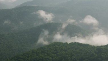 Yeşil kırsal manzara hava görüntüsü videosu
