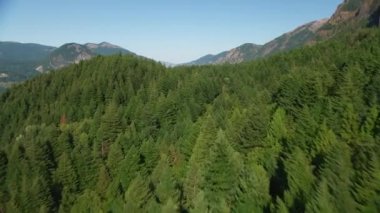 Oregon circa-2021: Columbia River Gorge 'un havadan görünüşü. Helicopter 'dan Cineflex ve RED 8K.