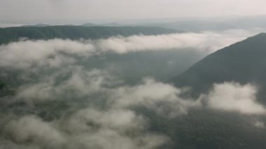 Yeşil kırsal manzara hava görüntüsü videosu
