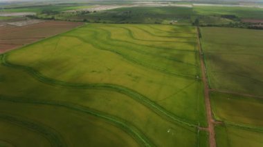 Lousiana manzarası, ABD