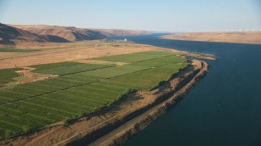 Oregon, ABD: Columbia River Gorge 'un yüksek açılı görüntüsü