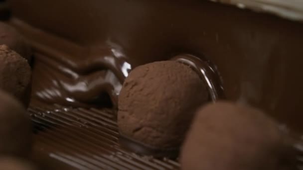 Chocolade Truffels Een Transportband Snoepfabriek — Stockvideo