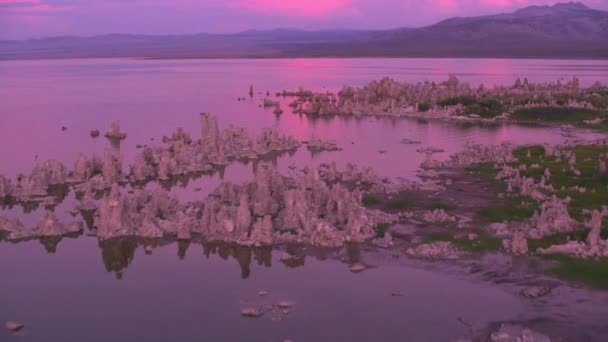 Рожевий Схід Сонця Озері Моно Каліфорнія Сша — стокове відео