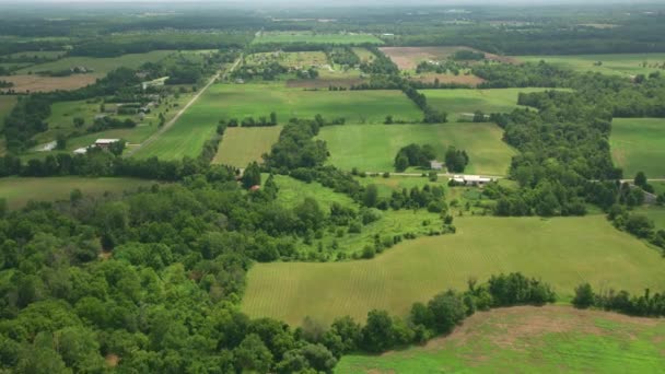 Massachusetts Circa 2019 Vista Aérea Las Tierras Cultivo Verde Disparo — Vídeo de stock