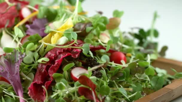 Herbes Salades Verts Volant Ralenti Tourné Avec Caméra Phantom Flex — Video