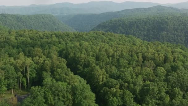 Pemandangan Udara Hutan Hijau Pegunungan — Stok Video