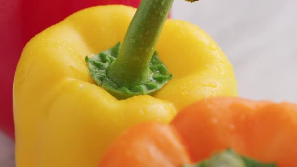 Fresh Colorful Bell Peppers — Stock Video