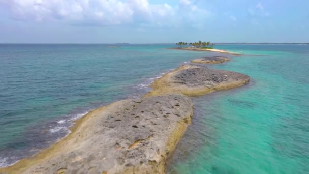 Nassau Bahama Szigetek Légi Felvétel Egy Kis Trópusi Szigetről Pálmafákkal — Stock videók