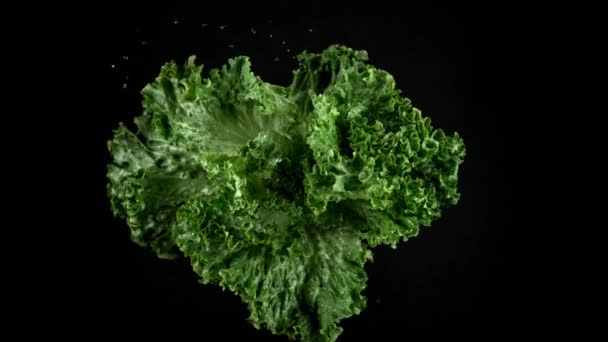 Vatten Snurrar Utanför Lettuce Superslow Motion Skjuten Med Phantom Flex — Stockvideo