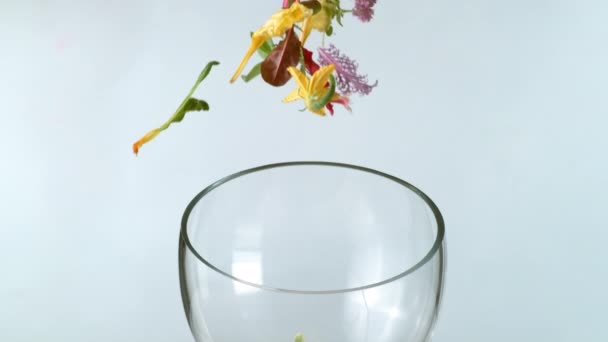 Close Van Een Glas Vallende Bloemen Kruiden Witte Achtergrond — Stockvideo