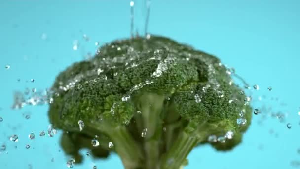 Water Dat Broccoli Afspoelt Een Blauwe Achtergrond Neergeschoten Slow Motion — Stockvideo