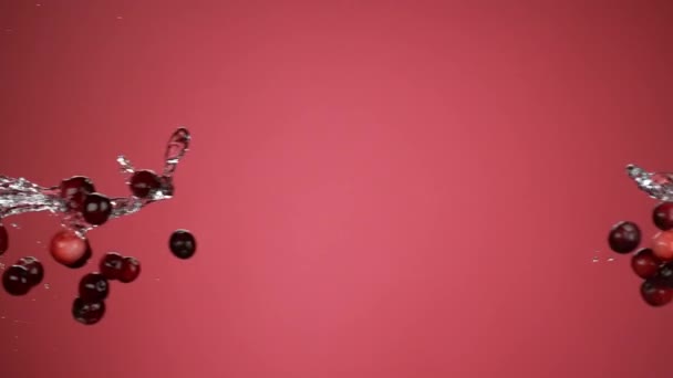 Cranberries Water Colliding Slow Motion Shot Phantom Flex — Stock Video