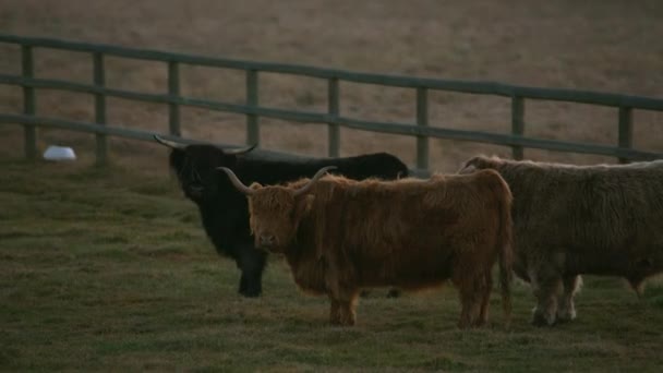 Oregon Circa 2017 Latanie Nad Upper Table Rock Południowym Oregonie — Wideo stockowe