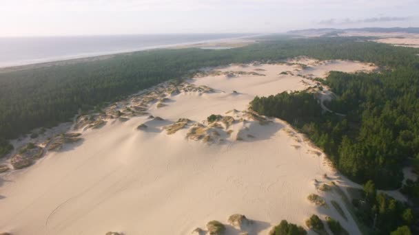 Oregon Coast Circa 2019 Letecký Pohled Písečné Duny Pobřeží Oregonu — Stock video