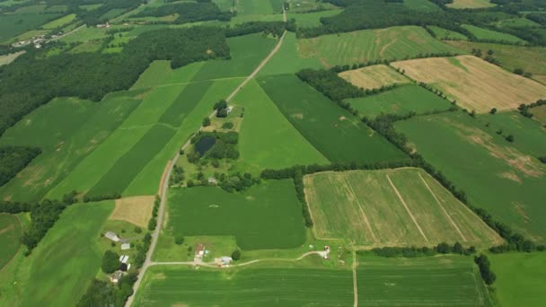 Green Fields Indiana Usa Letecké Záběry — Stock video