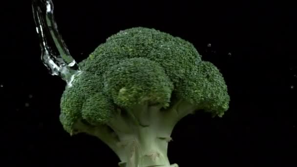 Voda Odtékající Brokolice Velmi Pomalém Filmu Snímek Foťákem Phantom Flex — Stock video