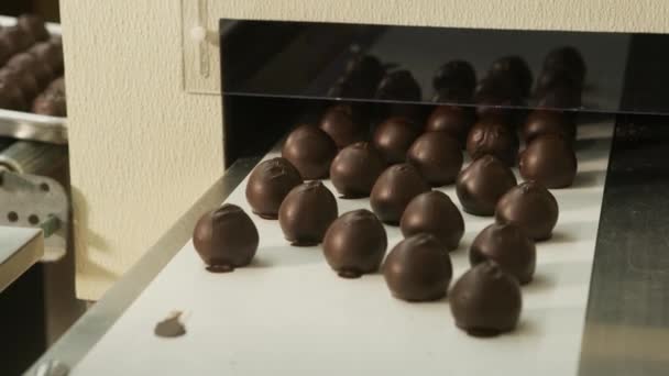 Trufas Chocolate Uma Correia Transportadora Fábrica Doces — Vídeo de Stock