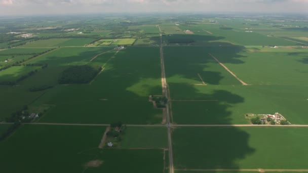 Câmpuri Verzi Din Indiana Statele Unite Ale Americii — Videoclip de stoc