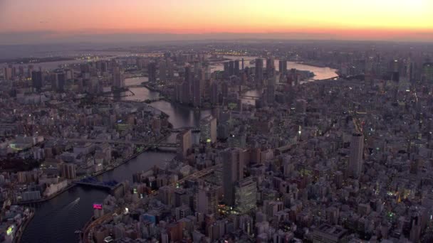 Tokyo Giappone Circa 2018 Volare Sul Fiume Sumida Sulla Baia — Video Stock