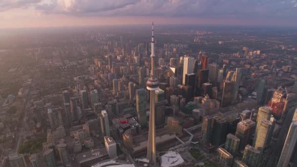 Toronto Kanada 2019 Flygfoto Över Toronto Vid Solnedgången Skjuten Från — Stockvideo