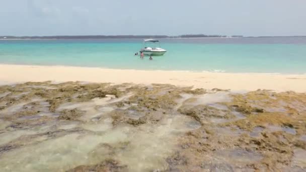 Nassau Bahamy Około 2021 Rodzina Bawiąca Się Oceanie Przy Tropikalnej — Wideo stockowe