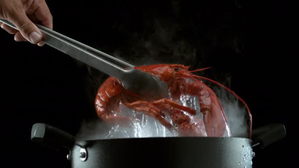Lobster Tail Steaming Water Dripping Slow Motion Shot Phantom Flex — Stock Video