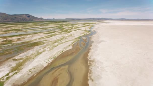 Nevada Usa Circa 2019 Luchtfoto Van Texturen Het Meer Schot — Stockvideo